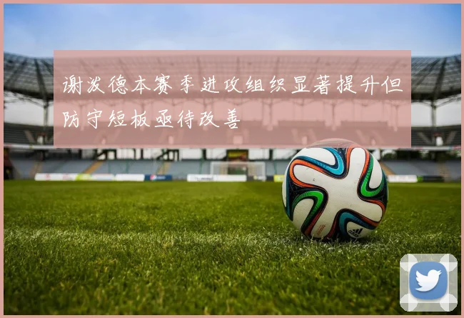 谢泼德本赛季进攻组织显著提升但防守短板亟待改善