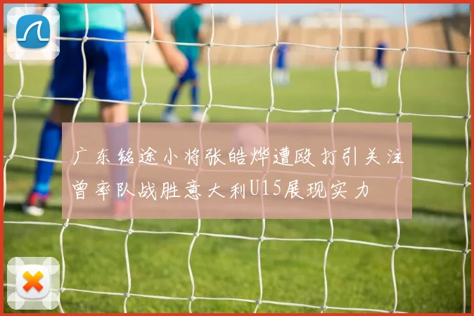广东铭途小将张皓烨遭殴打引关注曾率队战胜意大利U15展现实力